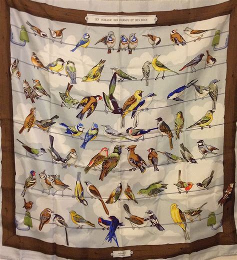 hermes scarf birds